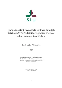 Mycoplasma Mycoides Subsp