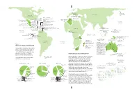 New World Extinctions: Where Next? Mammals: the Recently Departed