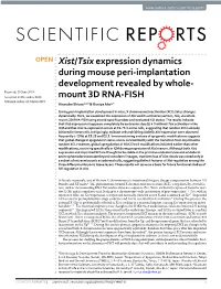 Xist/Tsix Expression Dynamics During Mouse Peri-Implantation