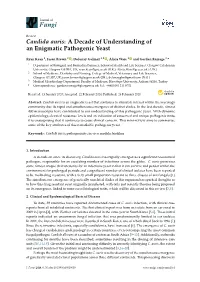 Candida Auris: a Decade of Understanding of an Enigmatic Pathogenic Yeast