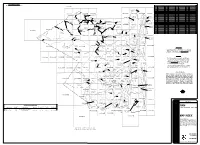 Map Index Firm