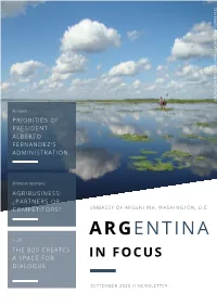 Newsletter Finance | Arg in Focus