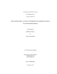 Open Sadiesteffens Dissertation Final.Pdf