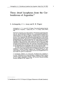 Three Dwarf Lycophytes from the Car- Boniferous of Argentina*)