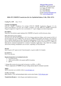 Altogen Transfection Protocol