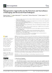 Metagenomics Approaches for the Detection and Surveillance of Emerging and Recurrent Plant Pathogens