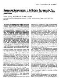 Developmental Time Course of Synapse Formation, Calcium Influx, and Synaptic Protein Distribution