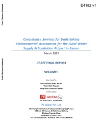 E4182 V1: Draft Final Report Vol. I