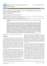 Study on Major Causes of Equine Colic at the Donkey Sanctuary And