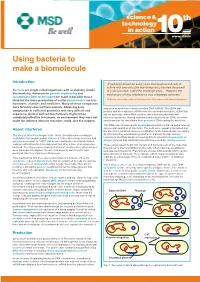 Using Bacteria to Make a Biomolecule Using Bacteria to Make a Biomolecule