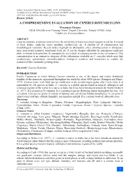 A Comprehensive Evaluation of Cyperus Rotundus Linn