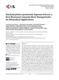 Stachytarpheta Cayennensis Aqueous Extract, a New Bioreactor Towards Silver Nanoparticles for Biomedical Applications