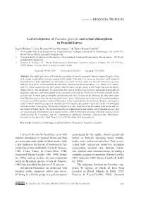 Larval Structure of Passalus Gravelyi and Sexual Dimorphism in Passalid Larvae