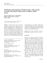 Purification and Properties of Sandercyanin, A