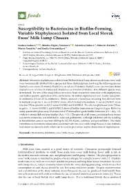Susceptibility to Bacteriocins in Biofilm-Forming, Variable Staphylococci