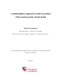 A Multidisciplinary Approach to Tackle the Problem of the Zoonotic Parasite Anisakis in Fish