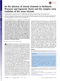 And Sapeornis (Aves) and the Complex Early Evolution of the Avian Sternum