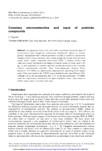 Cometary Micrometeorites and Input of Prebiotic Compounds