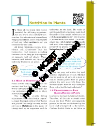 Nutrition in Plants N Class VI You Learnt That Food Is Utilisation by the Body