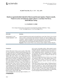 Studies on Gastrointestinal Helminth of Three Lacertid Lizard