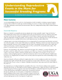 Understanding Reproductive Events in the Mare for Successful Breeding Programs