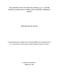 And the Potential of Biological Control Using Atoxigenic Aspergillus Species