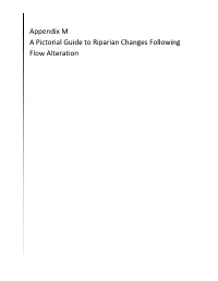 Appendix M. Wilding and Sanderson. a Pictorial Guide to Riparian