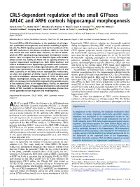 CRL5-Dependent Regulation of the Small Gtpases ARL4C and ARF6 Controls Hippocampal Morphogenesis