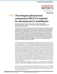 The Integral Spliceosomal Component CWC15 Is Required for Development in Arabidopsis Daniel Slane1, Cameron H