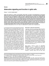 Adenosine Signaling and Function in Glial Cells