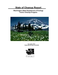 State of Cleanup Report