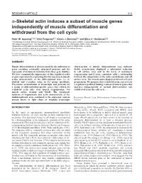 Skeletal Actin Induces a Subset of Muscle Genes Independently of Muscle Differentiation and Withdrawal from the Cell Cycle