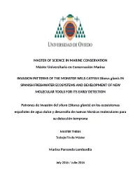 Silurus Glanis in SPANISH FRESHWATER ECOSYSTEMS and DEVELOPMENT of NEW MOLECULAR TOOLS for ITS EARLY DETECTION