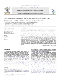 The Phylogenetic Relationships and Generic Limits of Finches