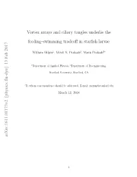 Vortex Arrays and Ciliary Tangles Underlie the Feeding–Swimming Tradeoﬀ in Starﬁsh Larvae