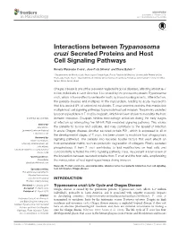 Interactions Between Trypanosoma Cruzi Secreted Proteins and Host Cell Signaling Pathways