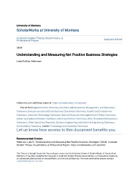 Understanding and Measuring Net Positive Business Strategies