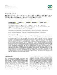 Calcite Measured Using Atomic Force Microscopy