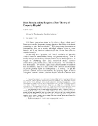 Does Sustainability Require a New Theory of Property Rights?