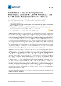 Combination of Bacillus Licheniformis and Salinomycin: Eﬀect on the Growth Performance and GIT Microbial Populations of Broiler Chickens