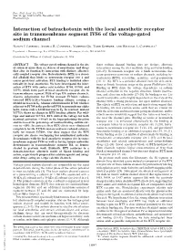 Interaction of Batrachotoxin with the Local Anesthetic Receptor Site in Transmembrane Segment IVS6 of the Voltage-Gated Sodium Channel