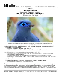 2020 Sample (PDF)