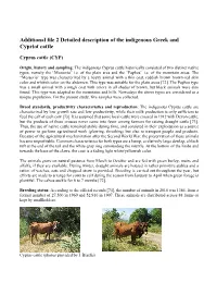 Additional File 2 Detailed Description of the Indigenous Greek and Cypriot Cattle