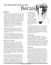 An Introduction To
