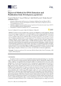 Improved Method for DNA Extraction and Purification from Tetrahymena