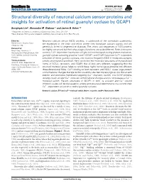 Structural Diversity of Neuronal Calcium Sensor Proteins and Insights for Activation of Retinal Guanylyl Cyclase by GCAP1