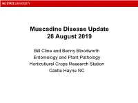 Disease Updates on Muscadines (Bill Cline, NCSU) (PDF)