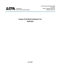 Scope of the Risk Evaluation for Asbestos