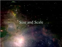 Size and Scale Attendance Quiz II