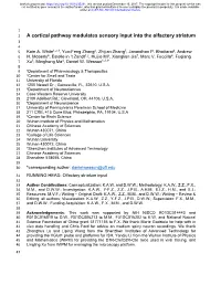 A Cortical Pathway Modulates Sensory Input Into the Olfactory Striatum 3 4 5 Kate A